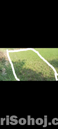 2.5 katha emergency sell